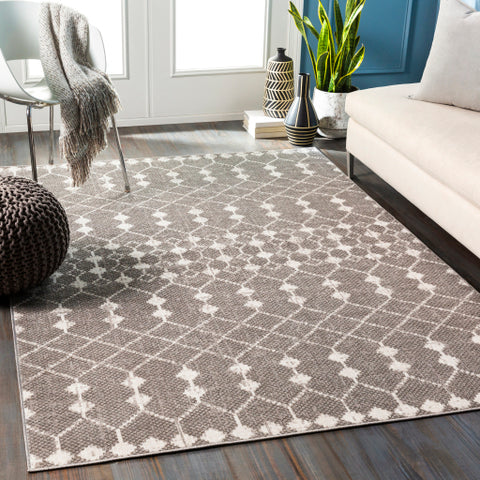 Image of Surya Rafetus Global Light Gray, Charcoal, White Rugs ETS-2355