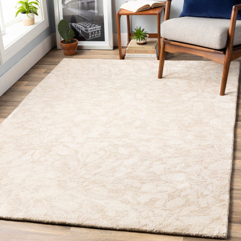 Image of Surya Falcon Modern Khaki, Beige, Cream Rugs FLC-8005