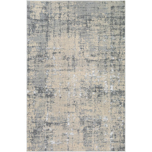 Surya Florence Modern Medium Gray, Charcoal, Light Gray, Beige Rugs FRO-2320