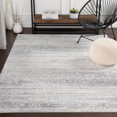 Image of Surya Genesis Traditional Silver Gray, White, Medium Gray, Pale Blue, Denim Rugs GNS-2300