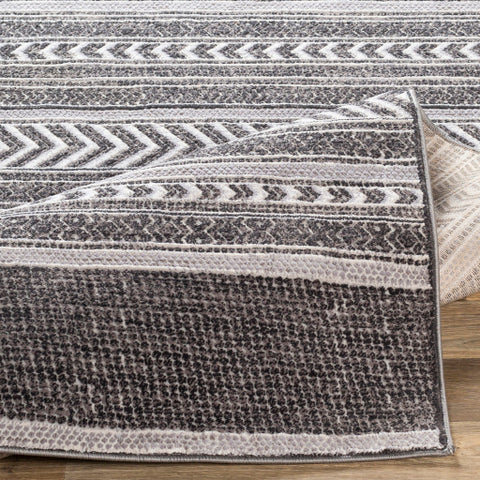 Image of Surya Genesis Global Silver Gray, White, Charcoal, Medium Gray Rugs GNS-2308