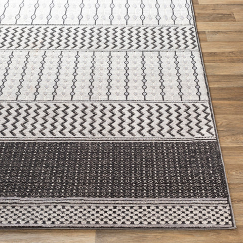 Image of Surya Genesis Global White, Charcoal, Silver Gray Rugs GNS-2309