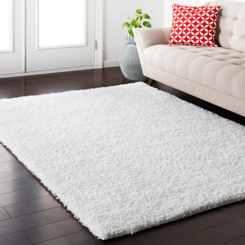 Image of Surya Galaxy Shag Modern White Rugs GYS-4500