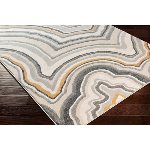 Surya Cash Modern Charcoal, Saffron, Khaki, Beige, Light Gray Rugs HAC-2312