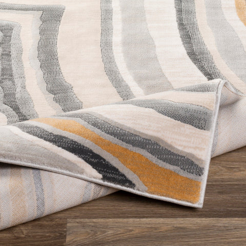 Image of Surya Cash Modern Charcoal, Saffron, Khaki, Beige, Light Gray Rugs HAC-2312