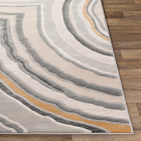 Image of Surya Cash Modern Charcoal, Saffron, Khaki, Beige, Light Gray Rugs HAC-2312