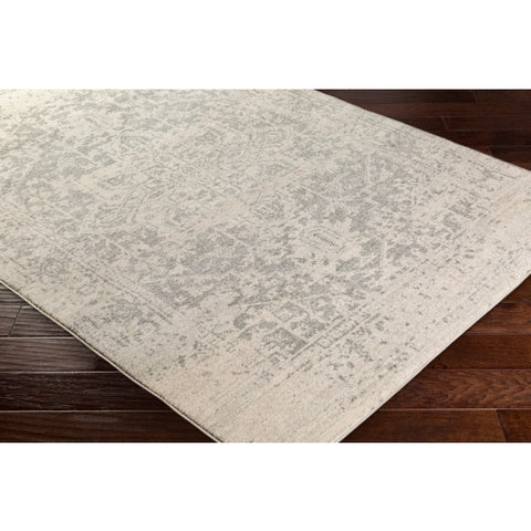 Image of Surya Harput Traditional Charcoal, Light Gray, Beige Rugs HAP-1024