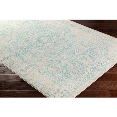 Image of Surya Harput Traditional Teal, Light Gray, Beige Rugs HAP-1026