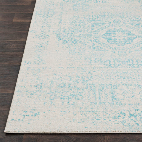 Image of Surya Harput Traditional Teal, Light Gray, Beige Rugs HAP-1026