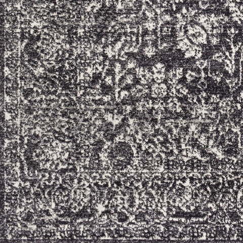 Image of Surya Harput Traditional Black, Light Gray, Charcoal, Beige Rugs HAP-1028