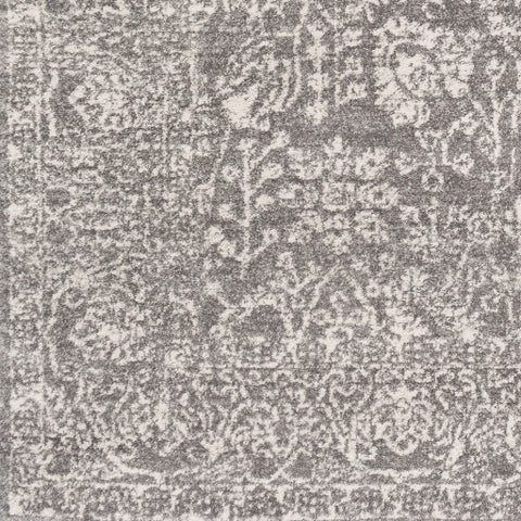 Image of Surya Harput Traditional Charcoal, Light Gray, Beige Rugs HAP-1029