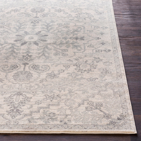 Image of Surya Harput Traditional Light Gray, Charcoal, Beige Rugs HAP-1069