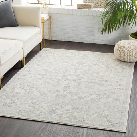 Image of Surya Harput Traditional Light Gray, Charcoal, Beige Rugs HAP-1069