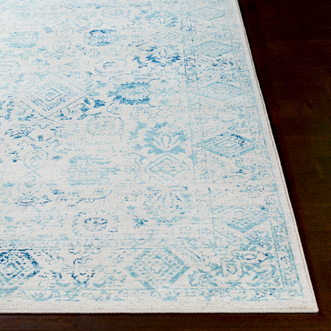 Image of Surya Harput Traditional Aqua, Light Gray, Bright Blue, Ivory Rugs HAP-1089