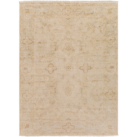 Image of Surya Hillcrest Traditional Beige, Cream, Khaki, Taupe, Camel Rugs HIL-9018