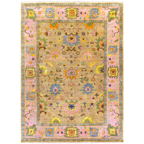 Image of Surya Hillcrest Traditional Tan, Bright Pink, Olive, Aqua, Navy, Dark Brown Rugs HIL-9043