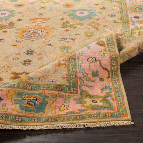 Image of Surya Hillcrest Traditional Tan, Bright Pink, Olive, Aqua, Navy, Dark Brown Rugs HIL-9043