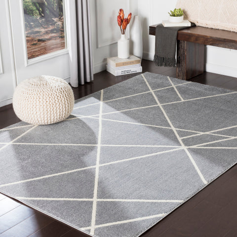 Image of Surya Horizon Modern Medium Gray, Cream Rugs HRZ-2301