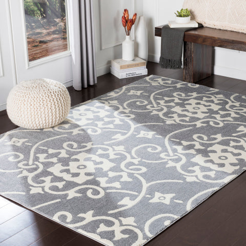 Image of Surya Horizon Cottage Medium Gray, Cream Rugs HRZ-2305