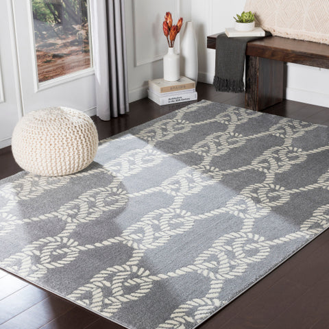 Image of Surya Horizon Coastal Medium Gray, Cream Rugs HRZ-2311