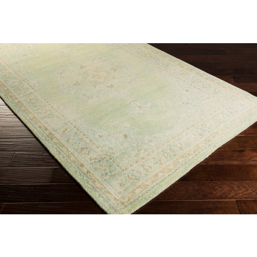 Surya Haven Traditional Dark Green, Emerald, Beige, Mint Rugs HVN-1222