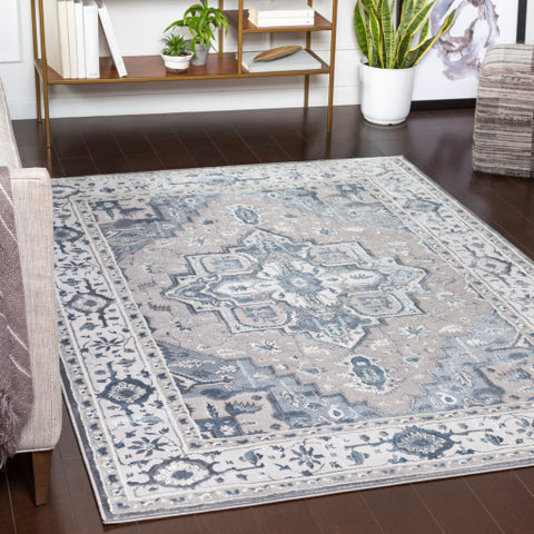 Image of Surya Katmandu Traditional Navy, Denim, Charcoal, Light Gray, Ivory, Medium Gray Rugs KAT-2308