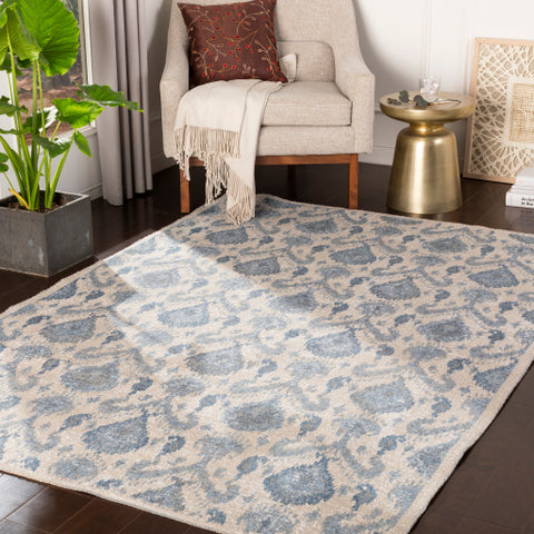 Image of Surya Kilim Global Denim, White, Cream Rugs KLM-2300