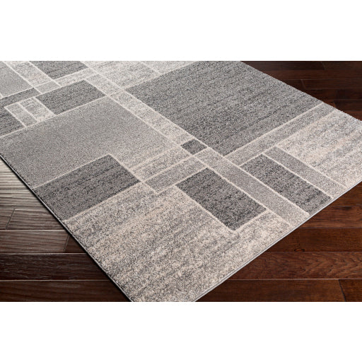 Surya Lula Modern Medium Gray, Charcoal, Ivory Rugs LAL-2300