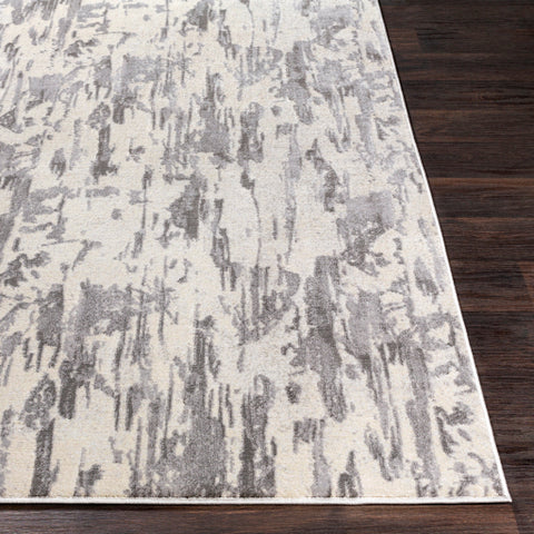 Image of Surya Lagom Modern Medium Gray, Charcoal, Light Gray, Ivory Rugs LGM-2303