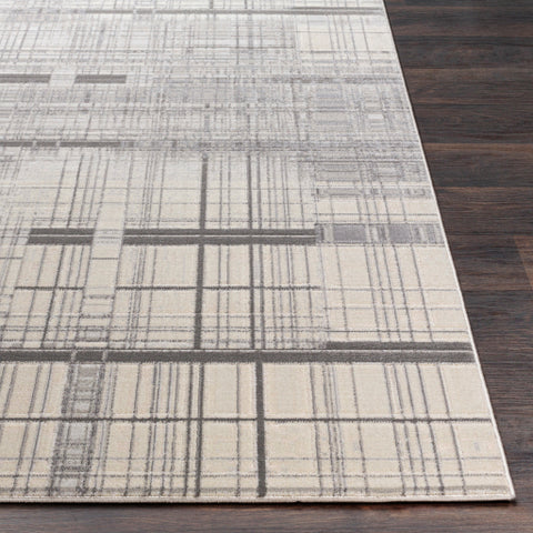 Image of Surya Lagom Modern Medium Gray, Charcoal, Light Gray, Ivory Rugs LGM-2312