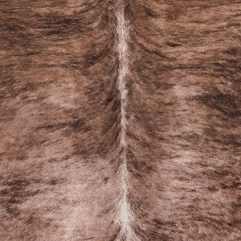 Image of Surya La Pampa Rustic Dark Brown, Ivory, Taupe Rugs LPP-2301