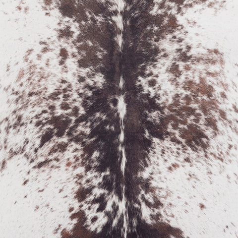 Image of Surya La Pampa Rustic Dark Brown, Ivory Rugs LPP-2304