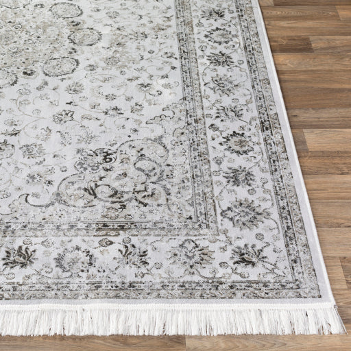 Surya Luxembourg Traditional Black, Taupe, Ivory Rugs LUM-1004