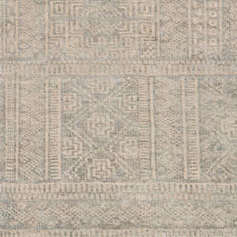 Image of Surya Livorno Traditional Medium Gray, Taupe Rugs LVN-2302