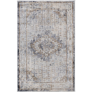 Surya Liverpool Traditional Charcoal, Medium Gray, Silver Gray, White, Ivory, Camel Rugs LVP-2301
