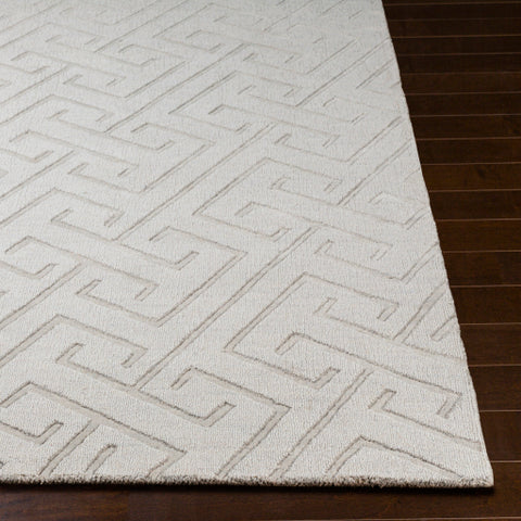 Image of Surya Mystique Modern Light Gray Rugs M-5455