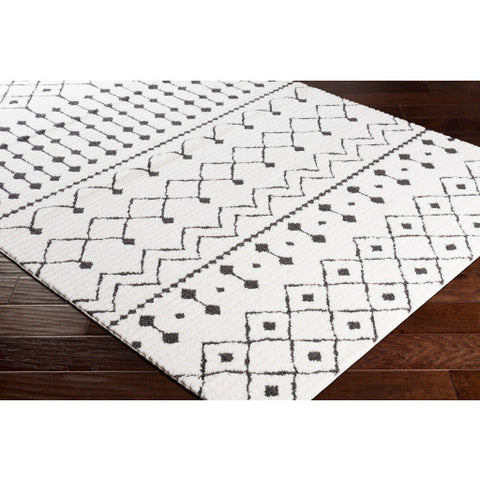 Image of Surya Moroccan Shag Global Black, Charcoal, White Rugs MCS-2309