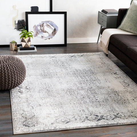 Image of Surya Milano Traditional Light Gray, Charcoal, Medium Gray, White Rugs MLN-2307