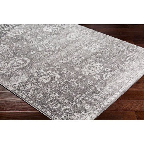 Image of Surya Monte Carlo Traditional Light Gray, Charcoal, White Rugs MNC-2311