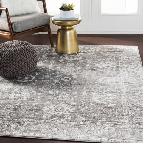 Image of Surya Monte Carlo Traditional Light Gray, Charcoal, White Rugs MNC-2311