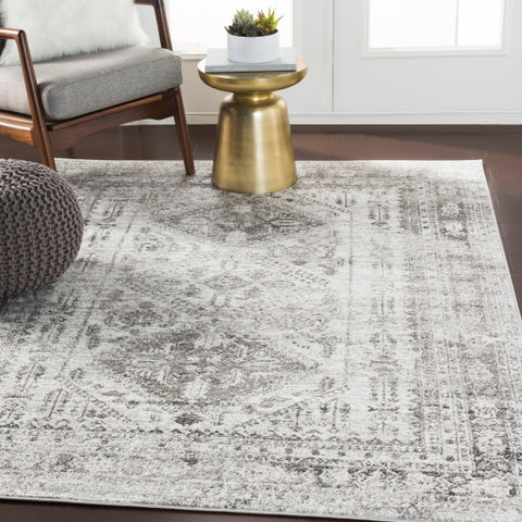 Image of Surya Monte Carlo Traditional Light Gray, White, Charcoal Rugs MNC-2314