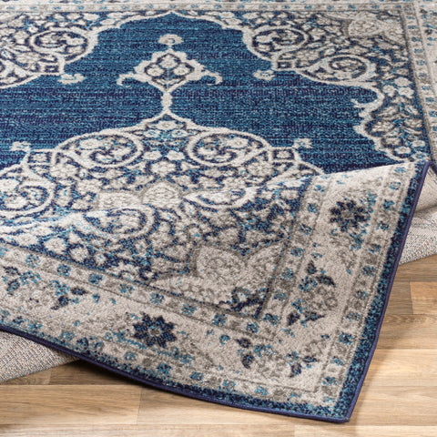 Image of Surya Monte Carlo Traditional Navy, Sky Blue, Charcoal, Light Gray Rugs MNC-2322