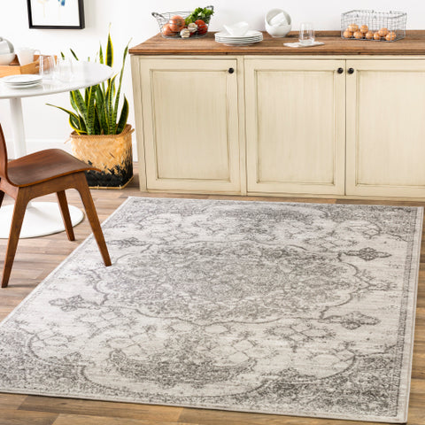 Image of Surya Monte Carlo Traditional Charcoal, Light Gray, White Rugs MNC-2339