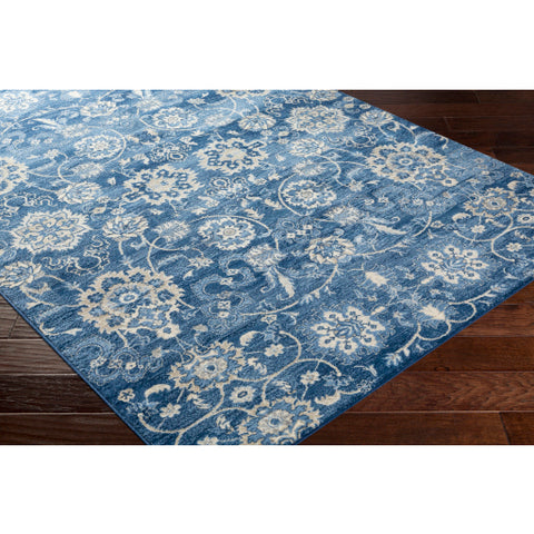 Image of Surya Monaco Traditional Bright Blue, Navy, Cream, Khaki, Silver Gray, Medium Gray Rugs MOC-2307