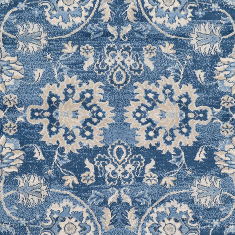 Image of Surya Monaco Traditional Bright Blue, Navy, Cream, Khaki, Silver Gray, Medium Gray Rugs MOC-2307