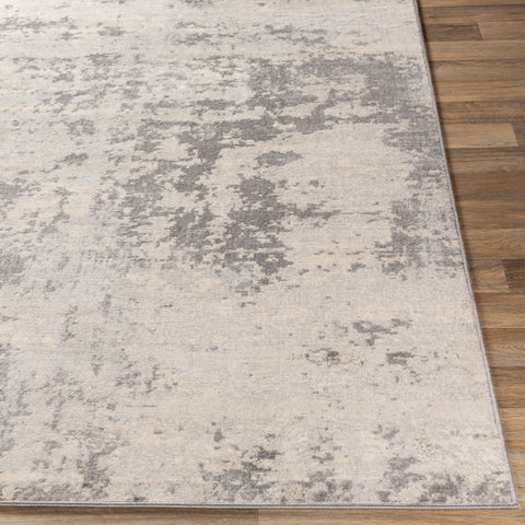 Image of Surya Monaco Modern Silver Gray, Medium Gray, Cream Rugs MOC-2311