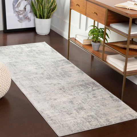 Image of Surya Monaco Modern Silver Gray, Medium Gray, Cream Rugs MOC-2311