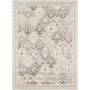 Surya Morocco Traditional Light Gray, Charcoal, Camel, Beige, White Rugs MRC-2315