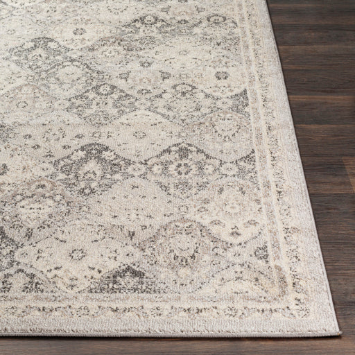 Surya Morocco Traditional Light Gray, Charcoal, Camel, Beige, White Rugs MRC-2315