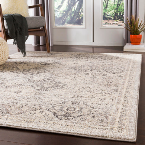 Image of Surya Morocco Traditional Light Gray, Charcoal, Camel, Beige, White Rugs MRC-2315